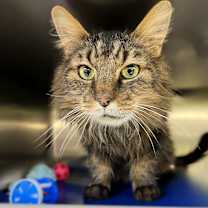 Thumbnail photo of Church #2