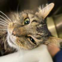 Thumbnail photo of Church #3