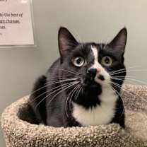 Thumbnail photo of Link #3