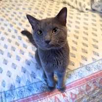 Thumbnail photo of Rocket Man #1