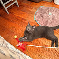 Thumbnail photo of Rocket Man #2