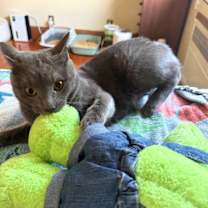 Thumbnail photo of Rocket Man #4