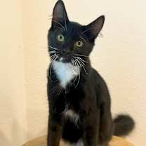 Thumbnail photo of Charlie #1