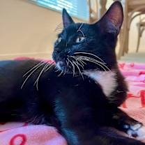 Thumbnail photo of Charlie #2