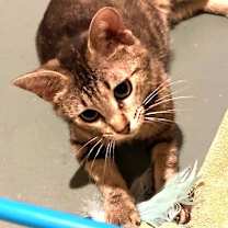 Thumbnail photo of Bobbi Sue #4