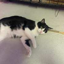 Thumbnail photo of Monji #4