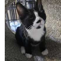 Thumbnail photo of Yosemite #2