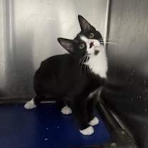 Thumbnail photo of Yosemite #3