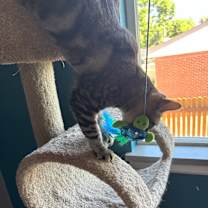 Thumbnail photo of Sprouts #2