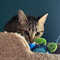 Thumbnail photo of Sprouts #3