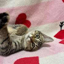 Thumbnail photo of Maribel #3