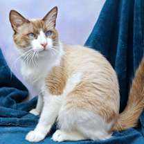 Thumbnail photo of Alexander #3