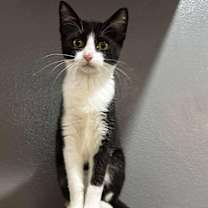 Thumbnail photo of Francine #2