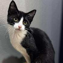 Thumbnail photo of Francine #3