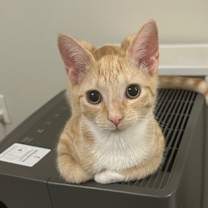 Thumbnail photo of Roy #2