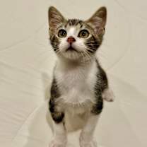 Thumbnail photo of Winter #1