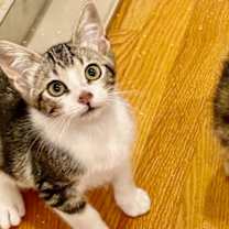 Thumbnail photo of Winter #2