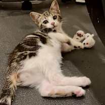 Thumbnail photo of Winter #3