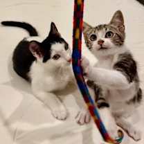 Thumbnail photo of Winter #4