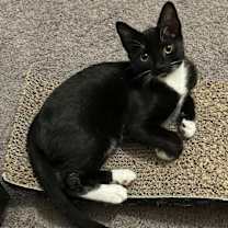 Thumbnail photo of Ted (Hall) #3