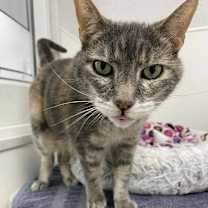 Thumbnail photo of Lilly #3