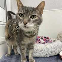 Thumbnail photo of Lilly #4