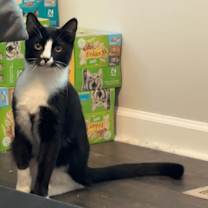 Thumbnail photo of Franklin #1