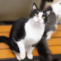 Thumbnail photo of Joel #1