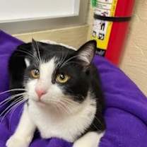 Thumbnail photo of Joel #2