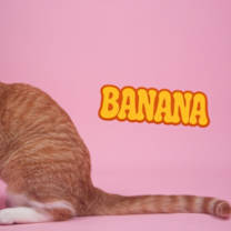 Thumbnail photo of Banana #1