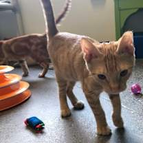 Thumbnail photo of Martin #2