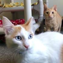 Thumbnail photo of Martin #3