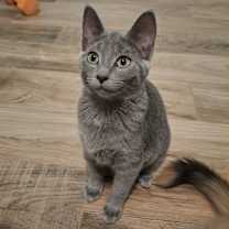 Thumbnail photo of Minerva R. #3