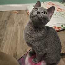 Thumbnail photo of Minerva R. #4