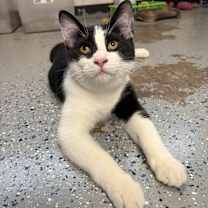 Thumbnail photo of Zion #2