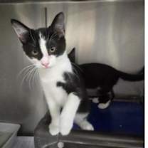 Thumbnail photo of Zion #3