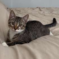 Thumbnail photo of Sulo 4843 #1