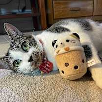 Thumbnail photo of Hydee #3