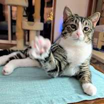 Thumbnail photo of Ernie #1