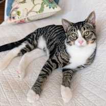 Thumbnail photo of Ernie #2