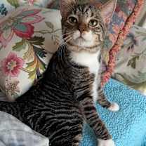 Thumbnail photo of Bert #2