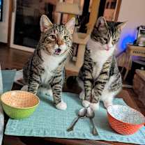 Thumbnail photo of Bert #3