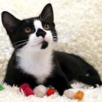 Thumbnail photo of Penny Wise #2