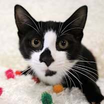 Thumbnail photo of Penny Wise #3