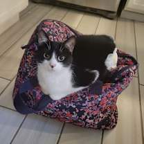 Thumbnail photo of Potato Salad #1