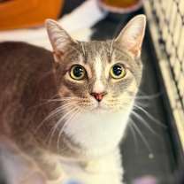 Thumbnail photo of Noah #1