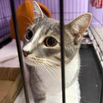 Thumbnail photo of Noah #2