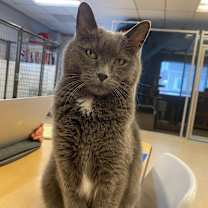 Thumbnail photo of Suni #2