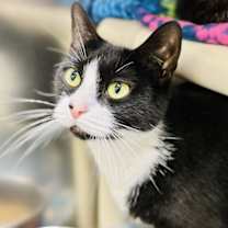 Thumbnail photo of Miss Tina #1