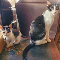 Thumbnail photo of Mama #2